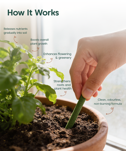 Chlora Fertilizer Sticks for Leafy Plants (Pack of 35) – Growth Booster