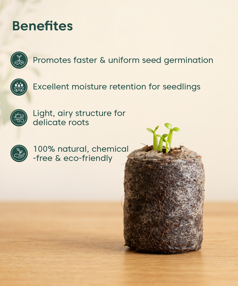 Kyari coir seed germinaton kit pack of 25