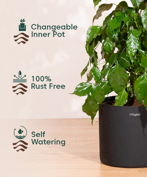 8 inch pot plant 8' Inch Large Pot – Kyari.co