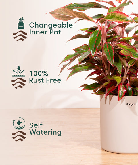 8' Inch Large Pot Grey