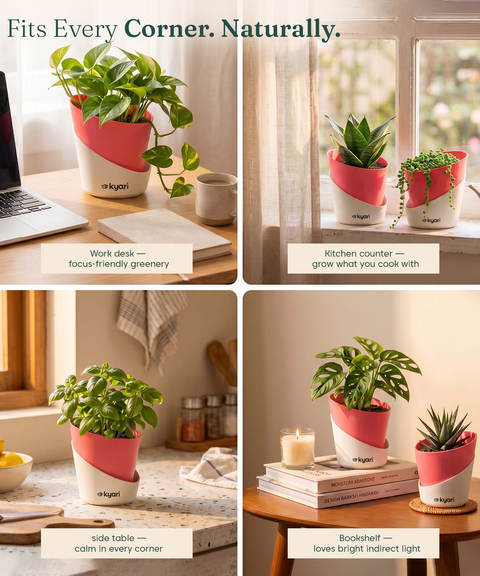 4' Inch Elite Pot Magenta combo of 5