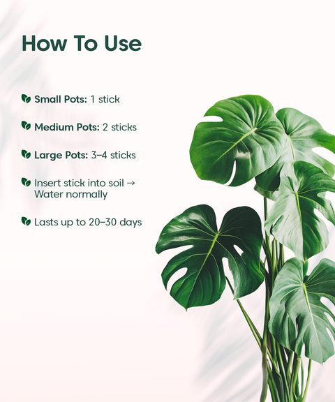 Chlora Fertilizer Sticks for Leafy Plants (Pack of 35) – Growth Booster