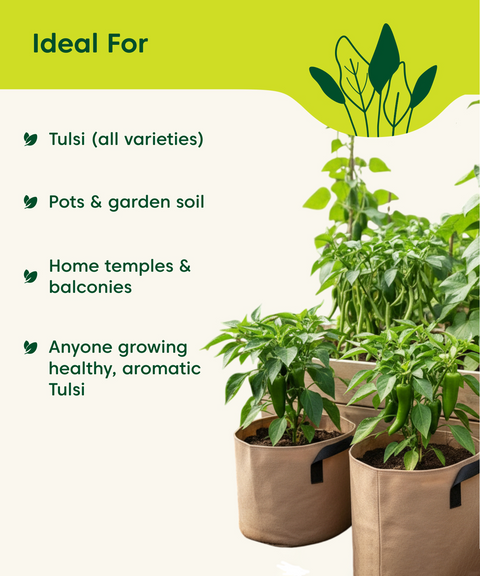 Tulsi Fertilizer 1 kg