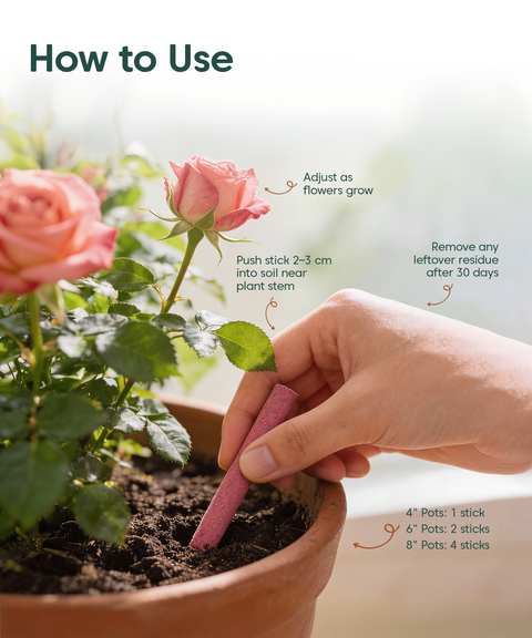 Flora Fertilizer Sticks for Flowering Plants (Pack of 35) – Bloom Booster
