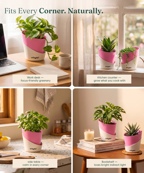 4' Inch Elite Pot Baby Pink combo of 5