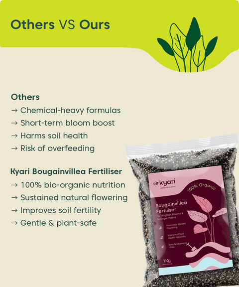Kyari Bougainvelia fertilizer 1 kg