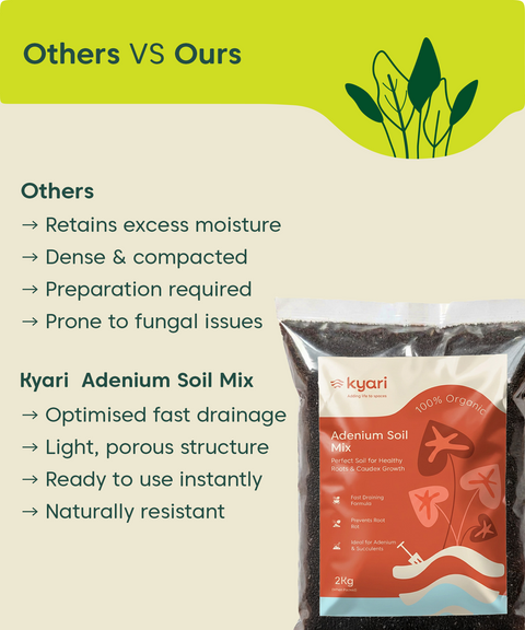 Kyari adenium soil mix 2 kg
