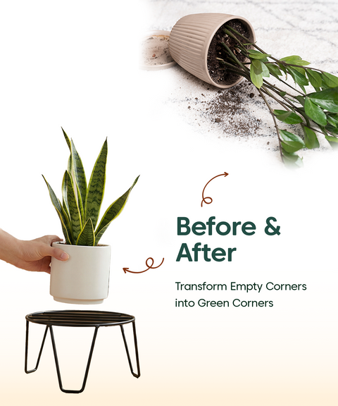 Kyari Round Metal Stand