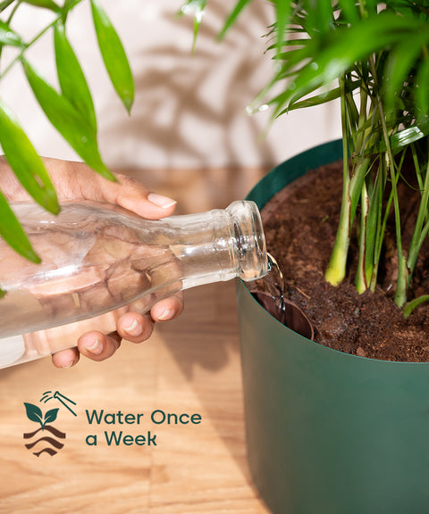 8' Inch Large Pot Green