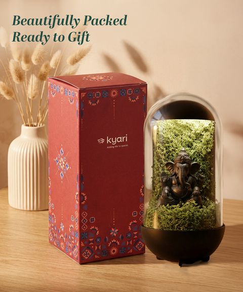 Gleam Hamper - Ganesh Dome With Light