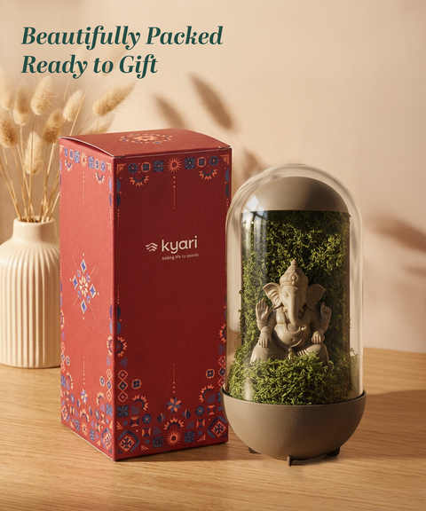 Gleam Hamper - Ganesh Dome Brown Without Light