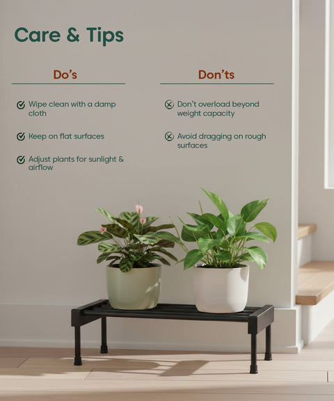 Elevate Plant Stand Duo – Pack of Two