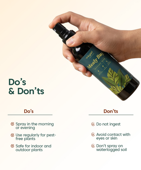 Mealy bug Spray 250 ml