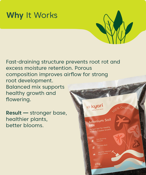 Kyari adenium soil mix 2 kg