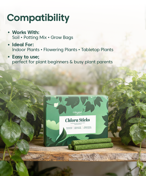 fertilizer for leafy plants Chlora Fertilizer Sticks for Leafy Plants (Pack of 35) – Growth Booste – Kyari.co
