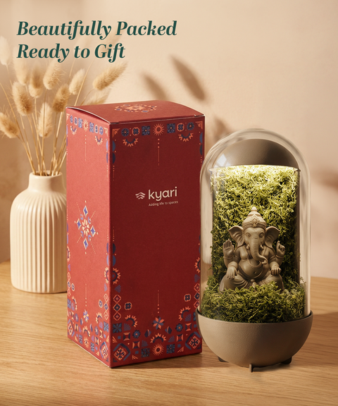 Gleam Hamper - Ganesh Dome Brown With Light