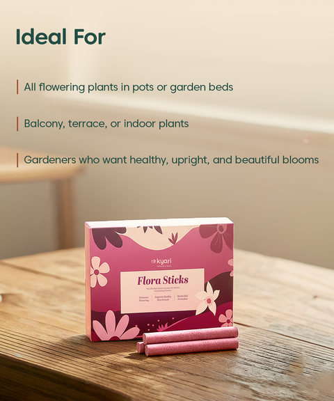 Flora Fertilizer Sticks for Flowering Plants (Pack of 35) – Bloom Booster