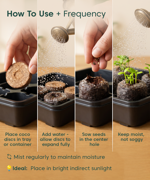 Kyari coir seed germinaton kit pack of 25