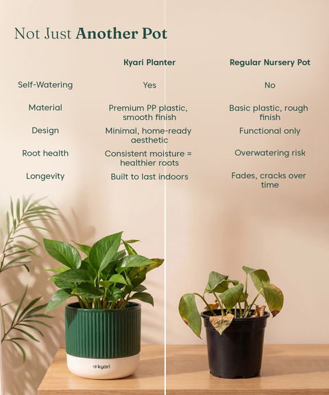 Mylo Pot Green combo of 5