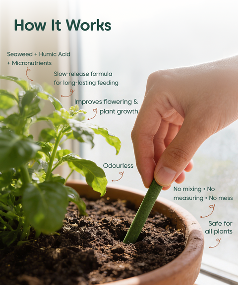 Chlora Fertilizer Sticks for Leafy Plants (Pack of 35) – Growth Booster