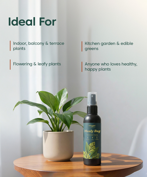 Mealy bug Spray 250 ml