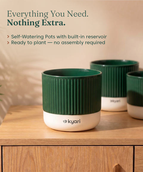 Mylo Pot Green combo of 5