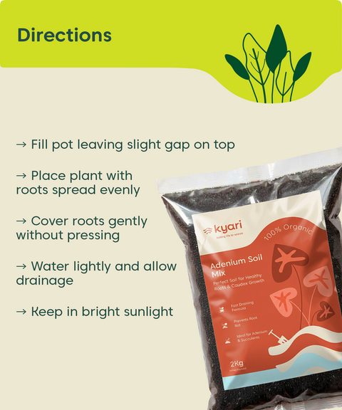 Kyari adenium soil mix 2 kg