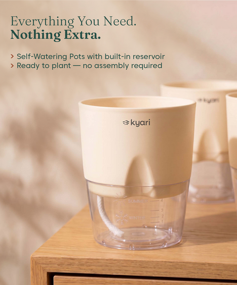 4' Inch Poetic Pot Cream combo of 5