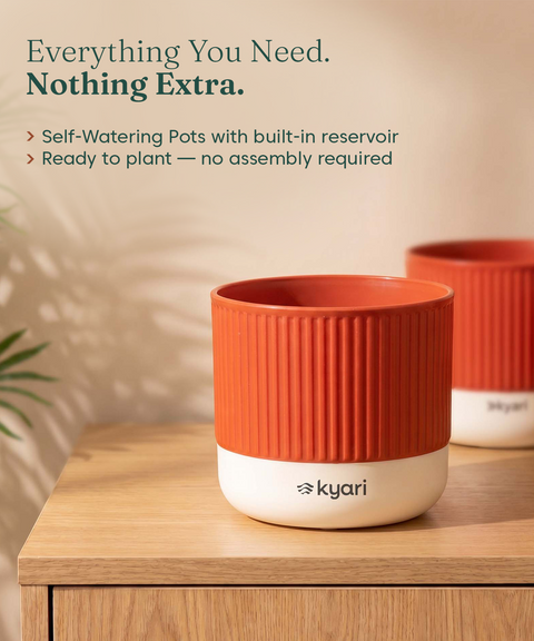 Mylo Pot red combo of 5