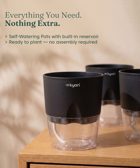 4' Inch Poetic Pot Black combo of 5