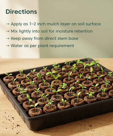 Kyari coir seed germinaton kit pack of 25