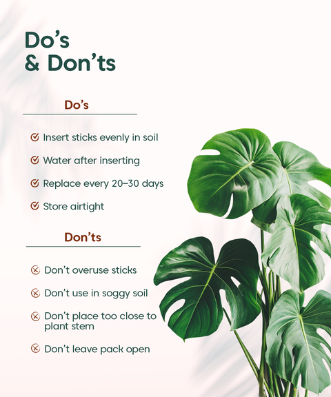 Chlora Fertilizer Sticks for Leafy Plants (Pack of 35) – Growth Booster