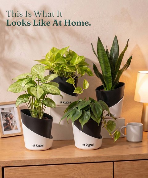 4' Inch Elite Pot Black combo of 5