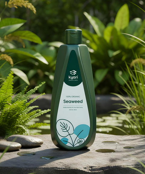 Seaweed Extract
