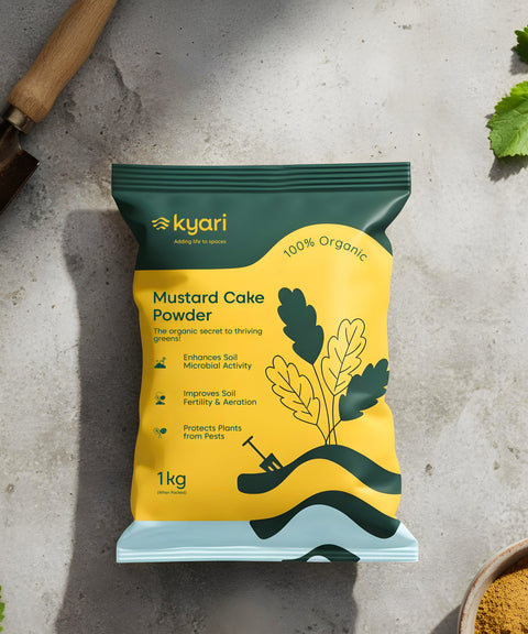 Mustard Cake Powder 1kg