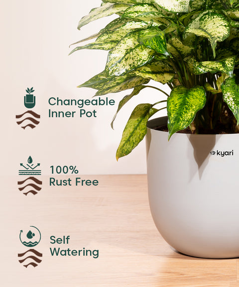 10' Inch Extra Large Pot