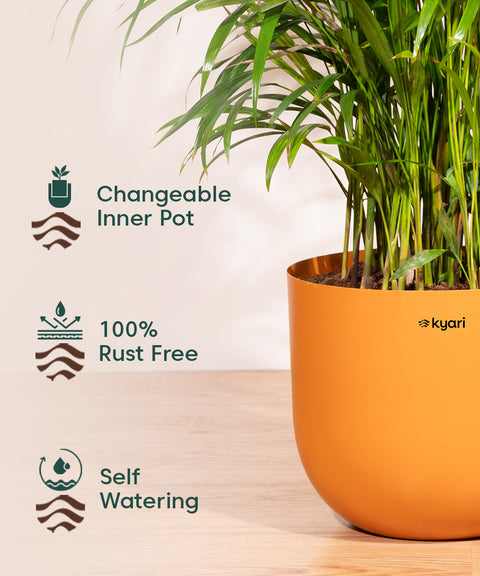 10' Inch Extra Large Pot