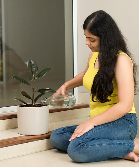 Black Rubber with Zen Planter