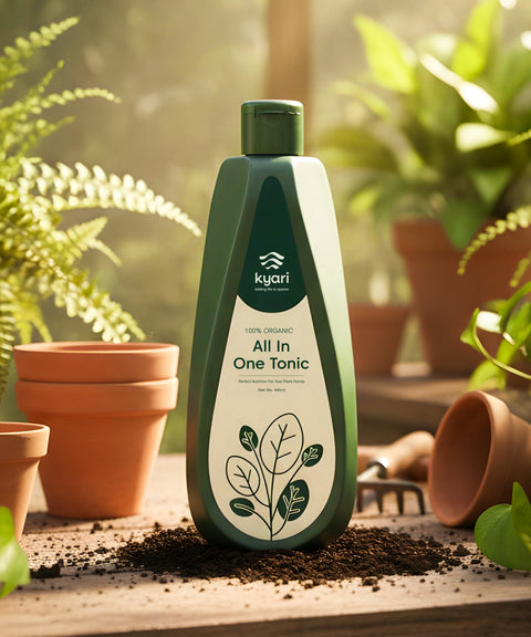 All in One Plant Fertilizer