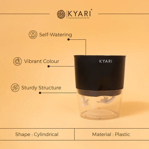 Water 4" Pot- Self-Watering Pot Paytm Offer