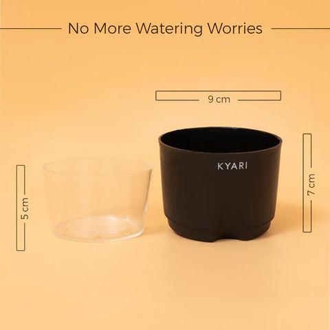 Water 4" Pot- Self-Watering Pot Paytm Offer