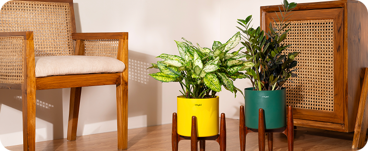 self watering planter with stand Silk & Sage