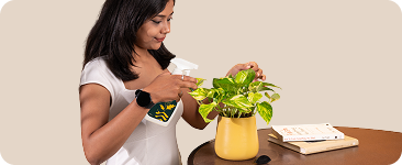 Key Features Header Image