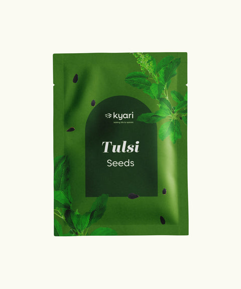 Tulsi