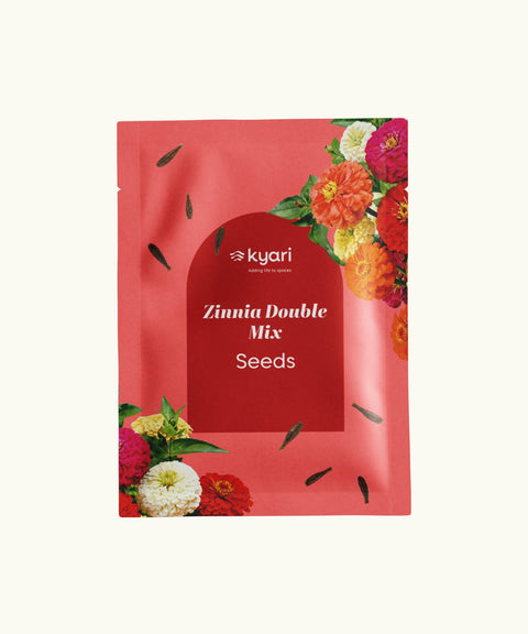 Zinnia Double