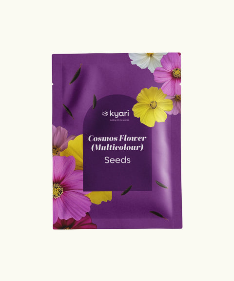 Cosmos Multicolor