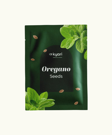 Oregano
