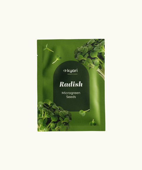 Radish Microgreen