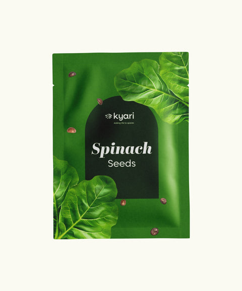 Spinach