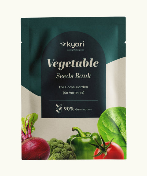 Vegetable Seed Bank